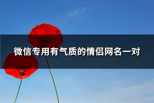 微信专用有气质的情侣网名一对(196组)