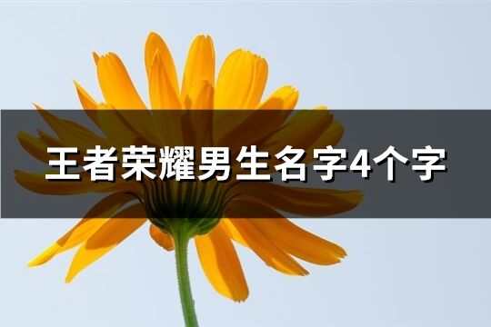 王者荣耀男生名字4个字(共355个)