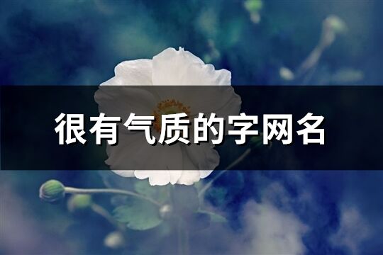 很有气质的字网名(共36个)