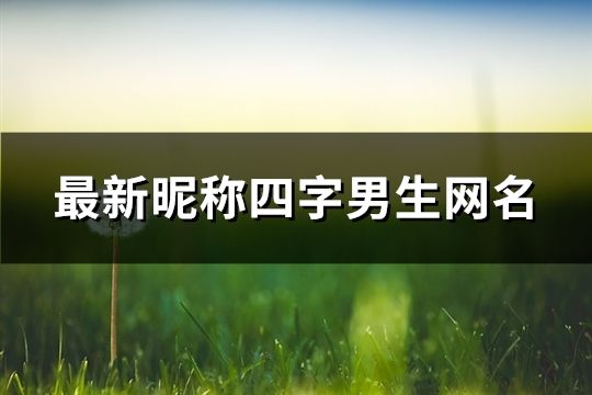 最新昵称四字男生网名(精选180个)