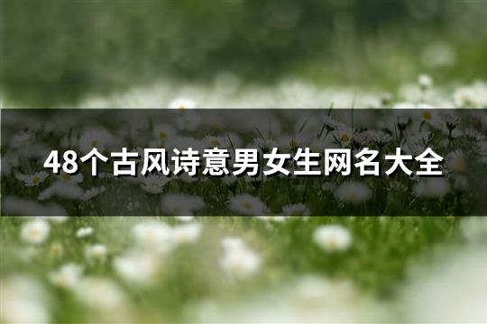 48个古风诗意男女生网名大全(精选48个)