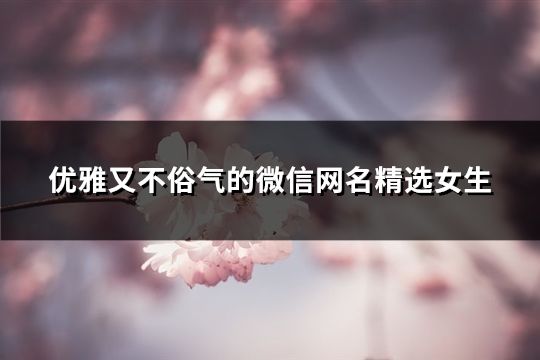 优雅又不俗气的微信网名精选女生(精选194个)