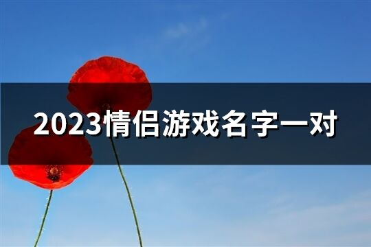 2023情侣游戏名字一对(共394个)