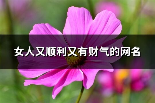 女人又顺利又有财气的网名(精选580个)