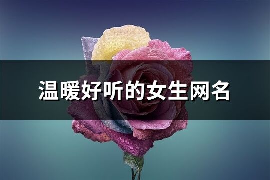 温暖好听的女生网名(共486个)