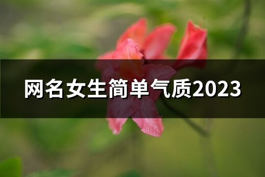 网名女生简单气质2023(844个)