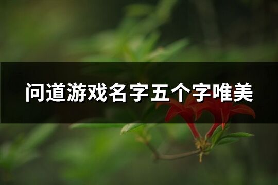 问道游戏名字五个字唯美(277个)