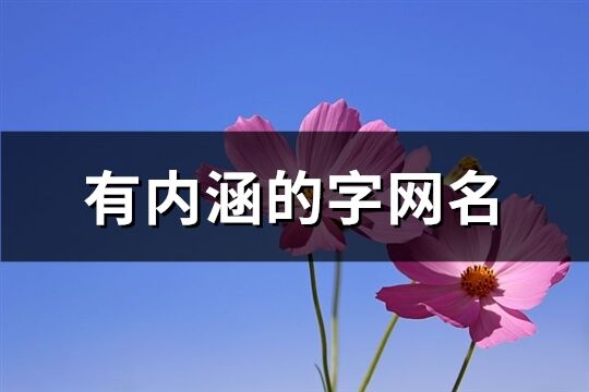 有内涵的字网名(共60个)