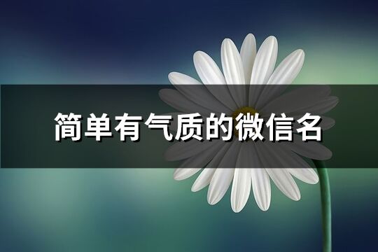 简单有气质的微信名(精选567个)