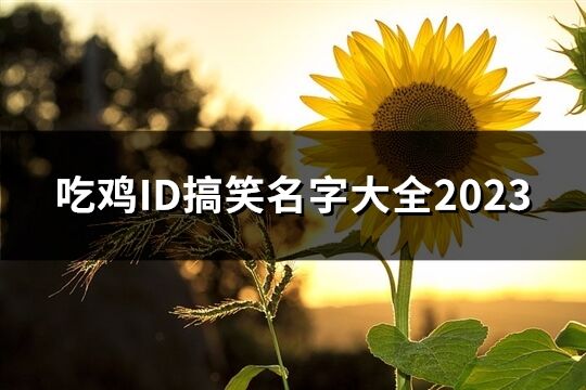 吃鸡ID搞笑名字大全2023(共61个)