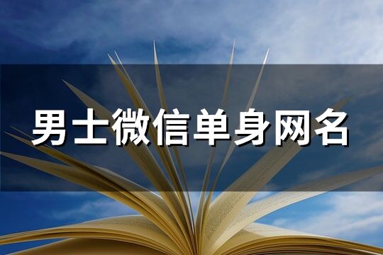 男士微信单身网名(共163个)