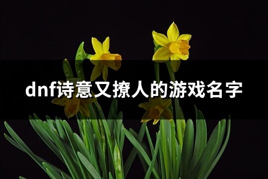 dnf诗意又撩人的游戏名字(精选168个)