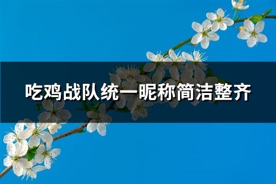 吃鸡战队统一昵称简洁整齐(共273个)