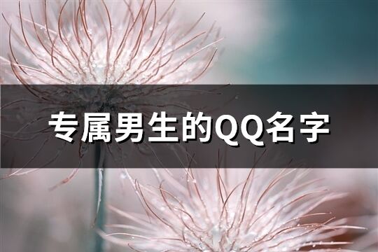 专属男生的QQ名字(精选508个)