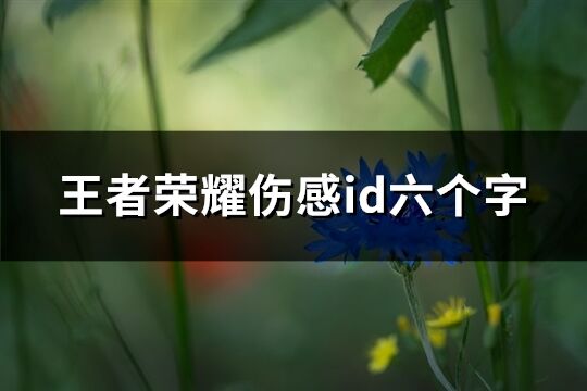 王者荣耀伤感id六个字(共490个)