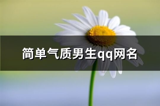 简单气质男生qq网名(共211个)