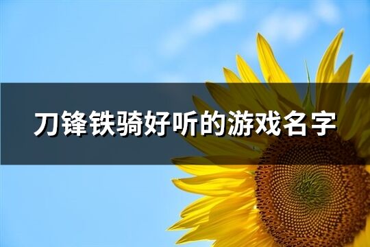 刀锋铁骑好听的游戏名字(169个)