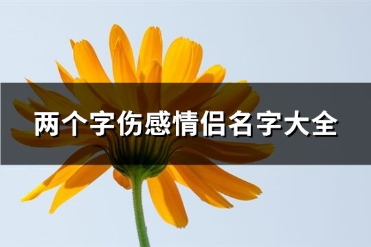 两个字伤感情侣名字大全(368个)