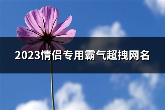 2023情侣专用霸气超拽网名(118个)