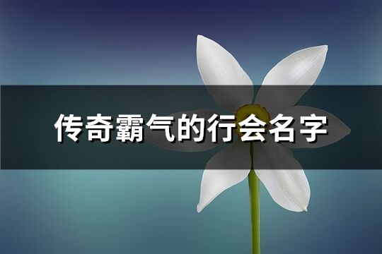 传奇霸气的行会名字(共921个)