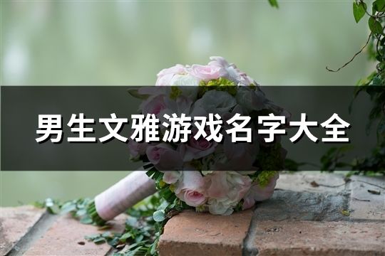 男生文雅游戏名字大全(642个)