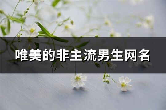 唯美的非主流男生网名(共62个)