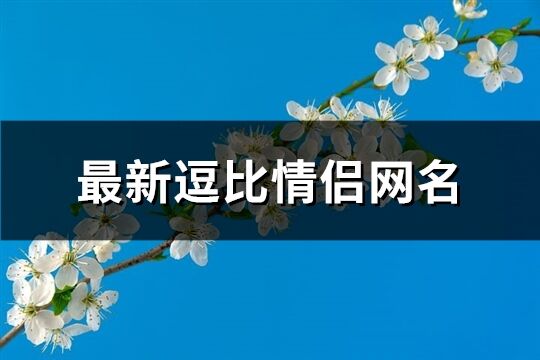 最新逗比情侣网名(299个)