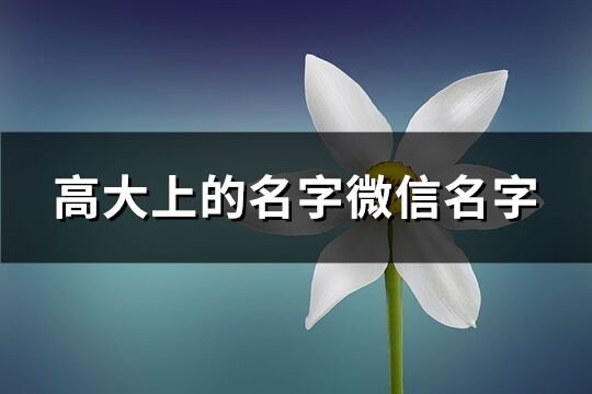 高大上的名字微信名字(778个)