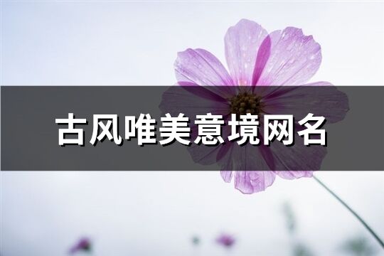 古风唯美意境网名(共277个)