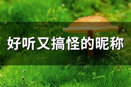 好听又搞怪的昵称(精选158个)