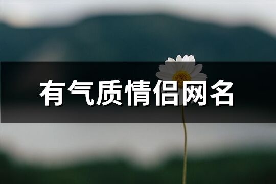 有气质情侣网名(114个)