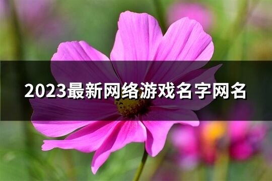 2023最新网络游戏名字网名(751个)