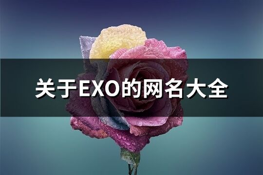 关于EXO的网名大全(76个)