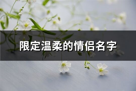 限定温柔的情侣名字(共173个)