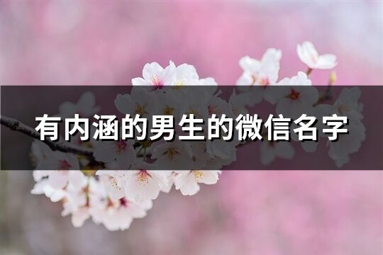 有内涵的男生的微信名字(649个)