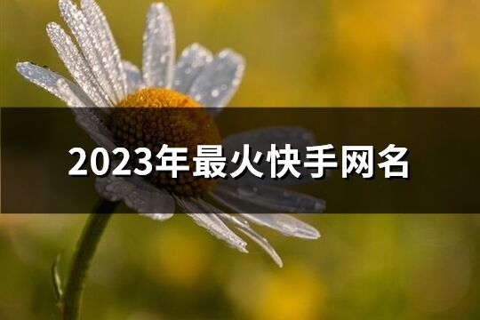 2023年最火快手网名(共453个)