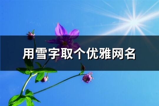 用雪字取个优雅网名(共185个)