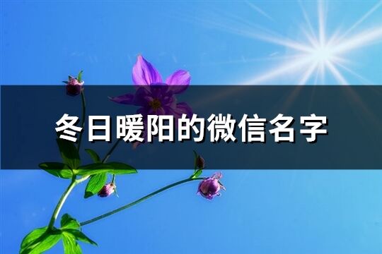 冬日暖阳的微信名字(共61个)