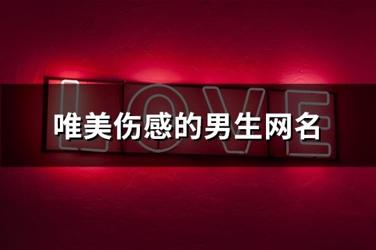 唯美伤感的男生网名(共72个)