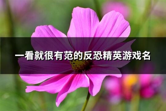 一看就很有范的反恐精英游戏名(156个)