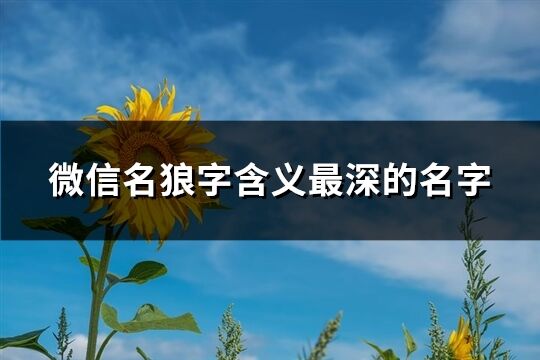 微信名狼字含义最深的名字(共77个)