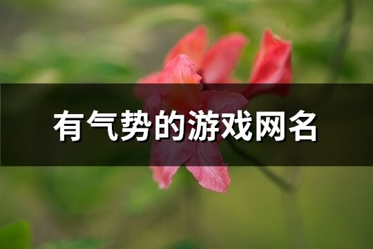 有气势的游戏网名(666个)