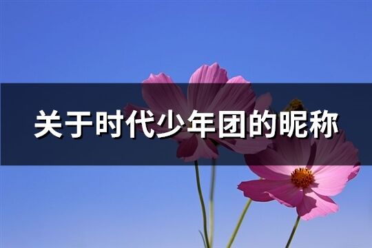 关于时代少年团的昵称(110个)