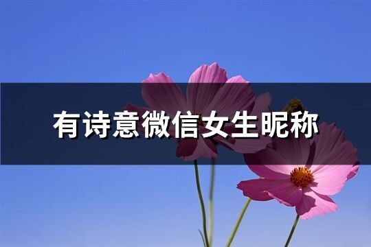 有诗意微信女生昵称(共599个)