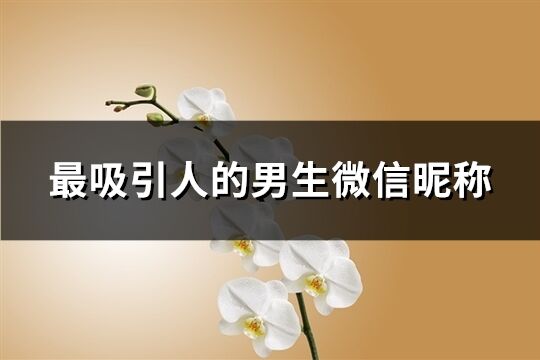 最吸引人的男生微信昵称(共60个)