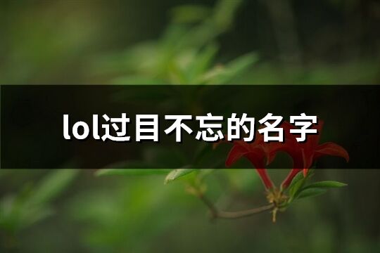 lol过目不忘的名字(共137个)