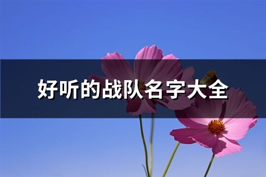 好听的战队名字大全(精选236个)