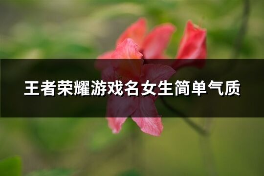 王者荣耀游戏名女生简单气质(424个)