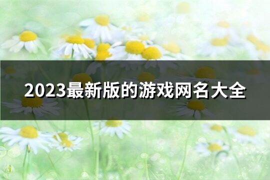 2023最新版的游戏网名大全(精选783个)