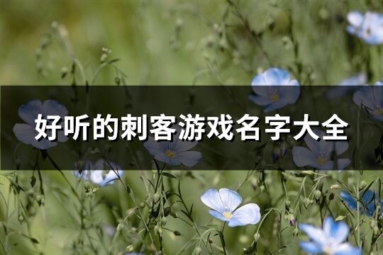 好听的刺客游戏名字大全(426个)